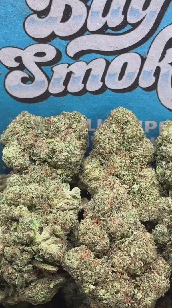 Mr Nasty (Indica)