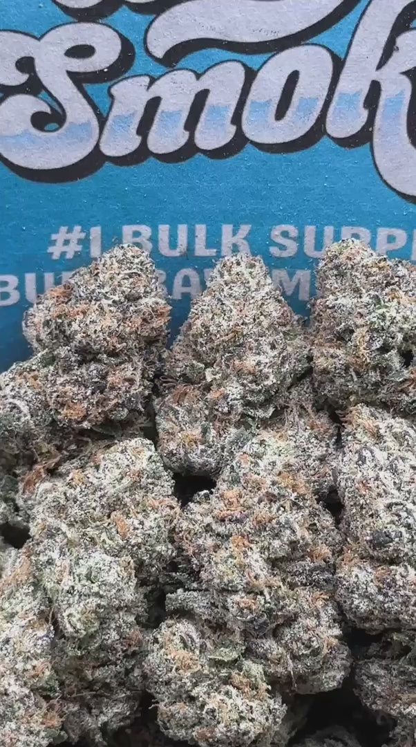 Zuper Candy (Indica)