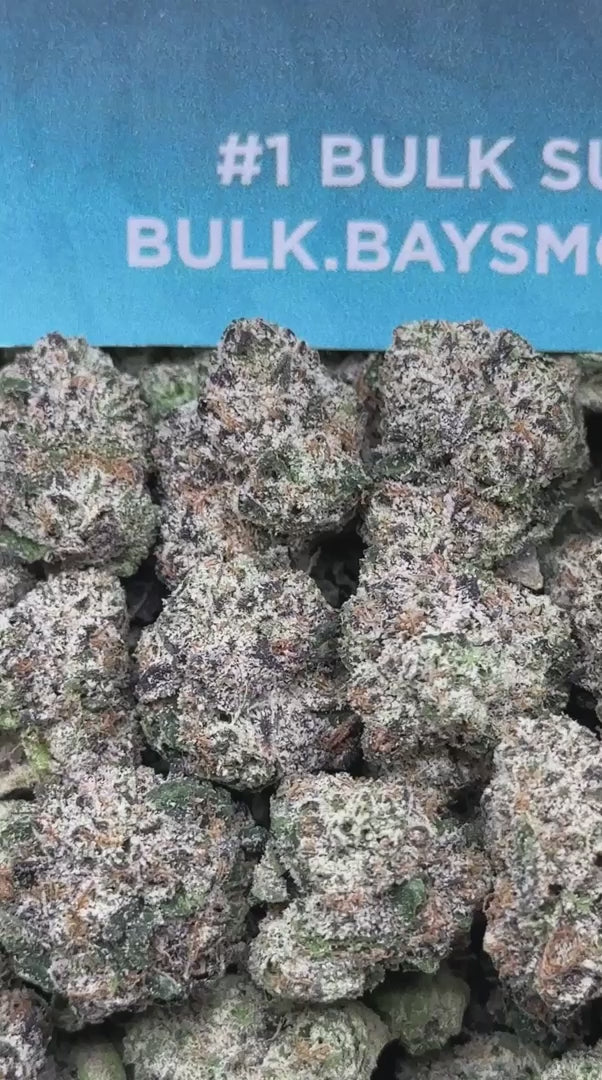 WOW 2.0 Meds & SM (Indica Hybrid)