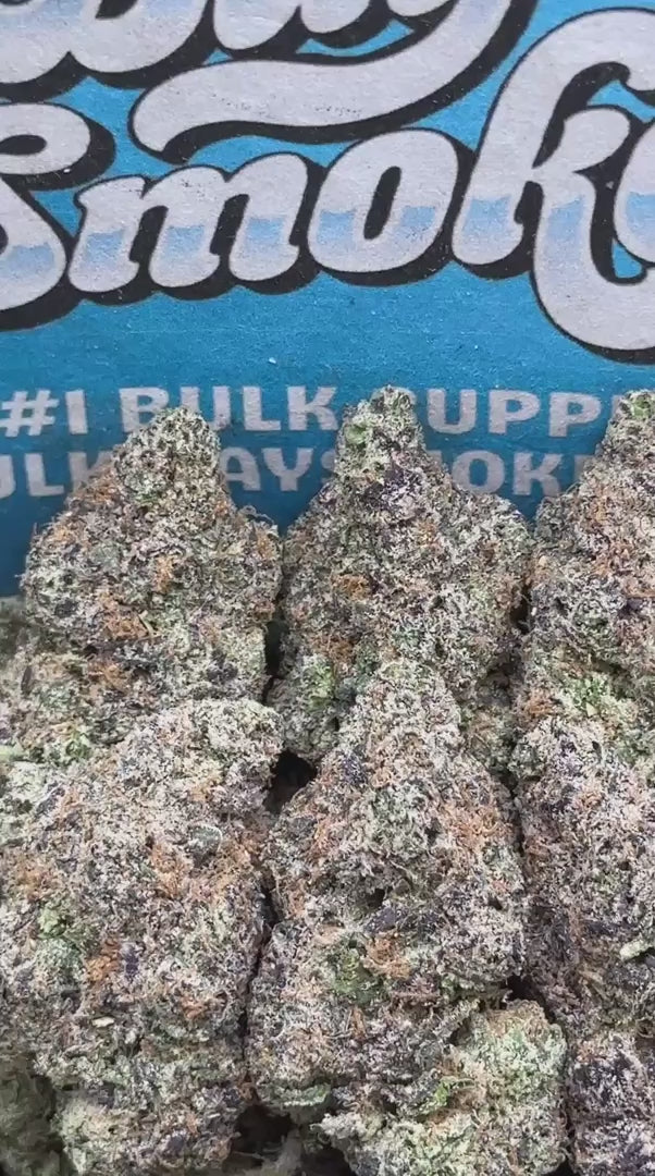 Gumbo Runtz (Indica Hybrid)