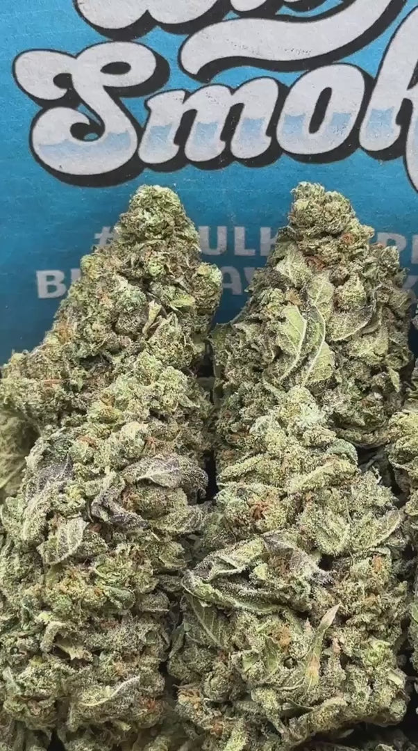 Wedding Cake (Indica)