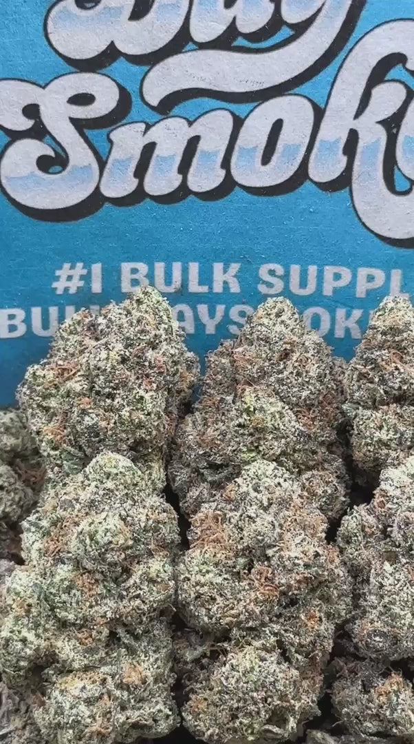 WHAM (Indica)