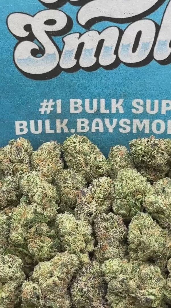 Rainbow Sherbet SM (Hybrid)