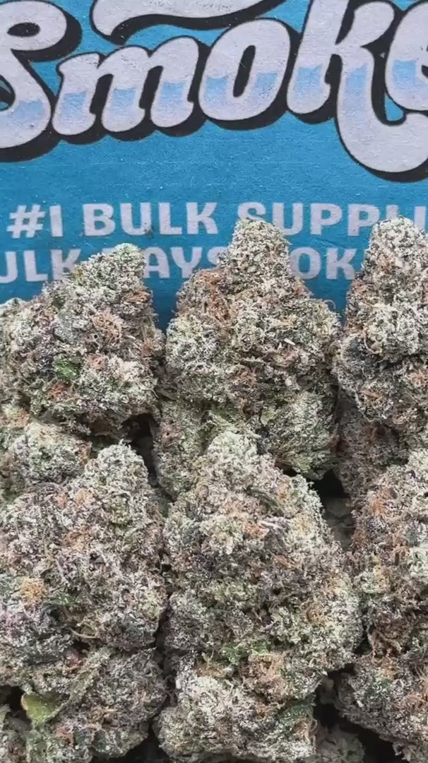 Cereal Milk (Hybrid)
