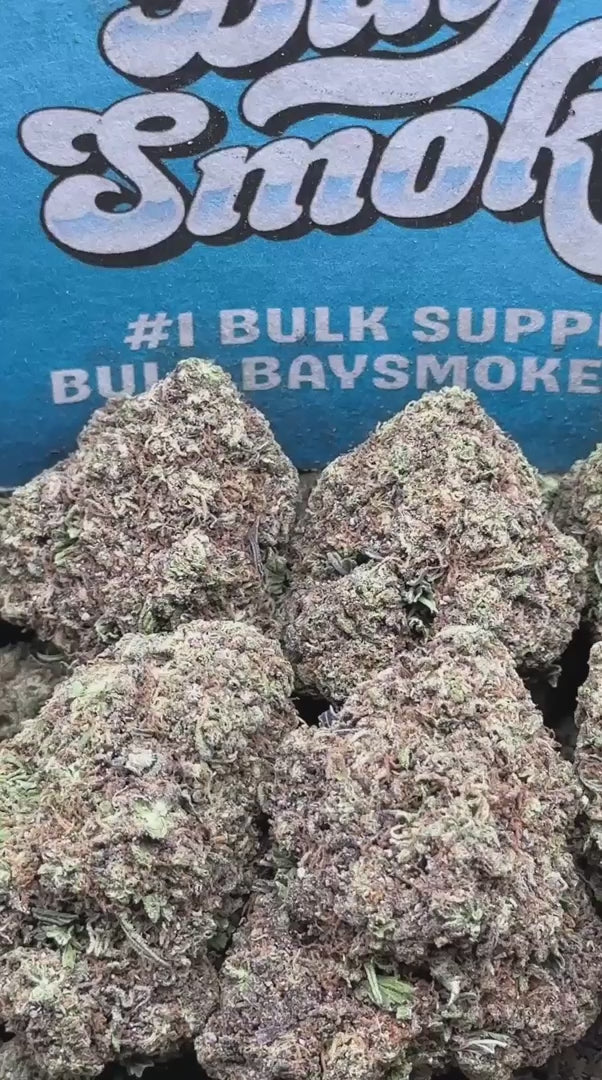 Grape Soda(Indica)
