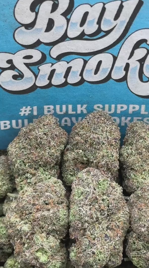 Koolato (Hybrid)