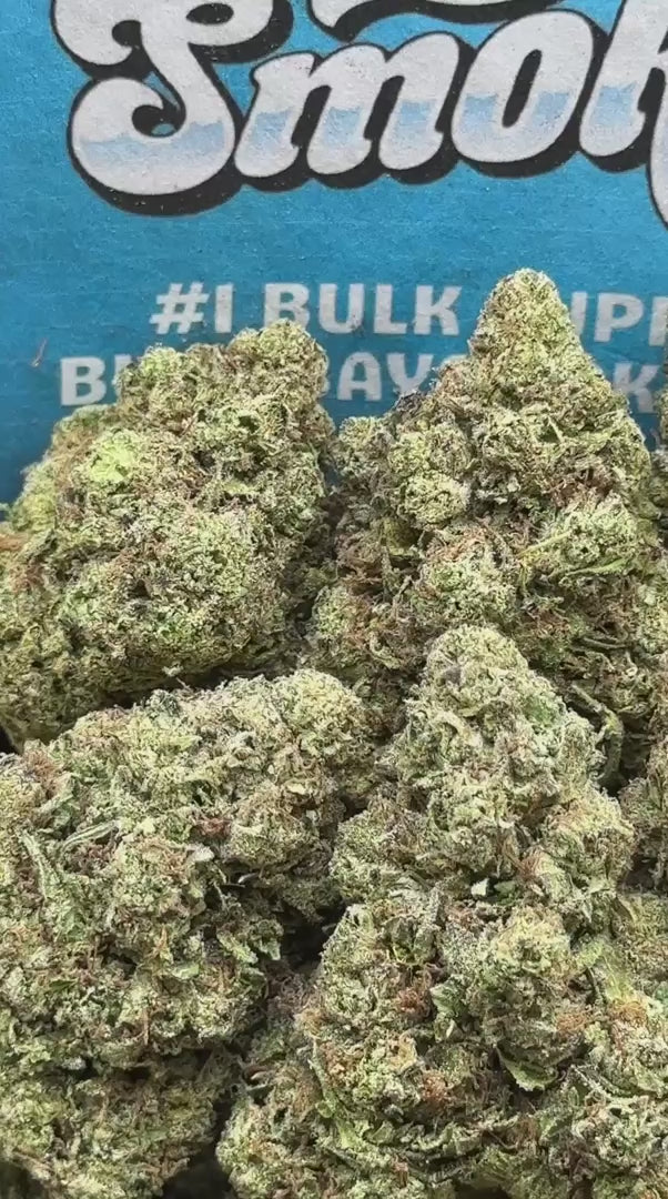 Blue Dream (Hybrid)