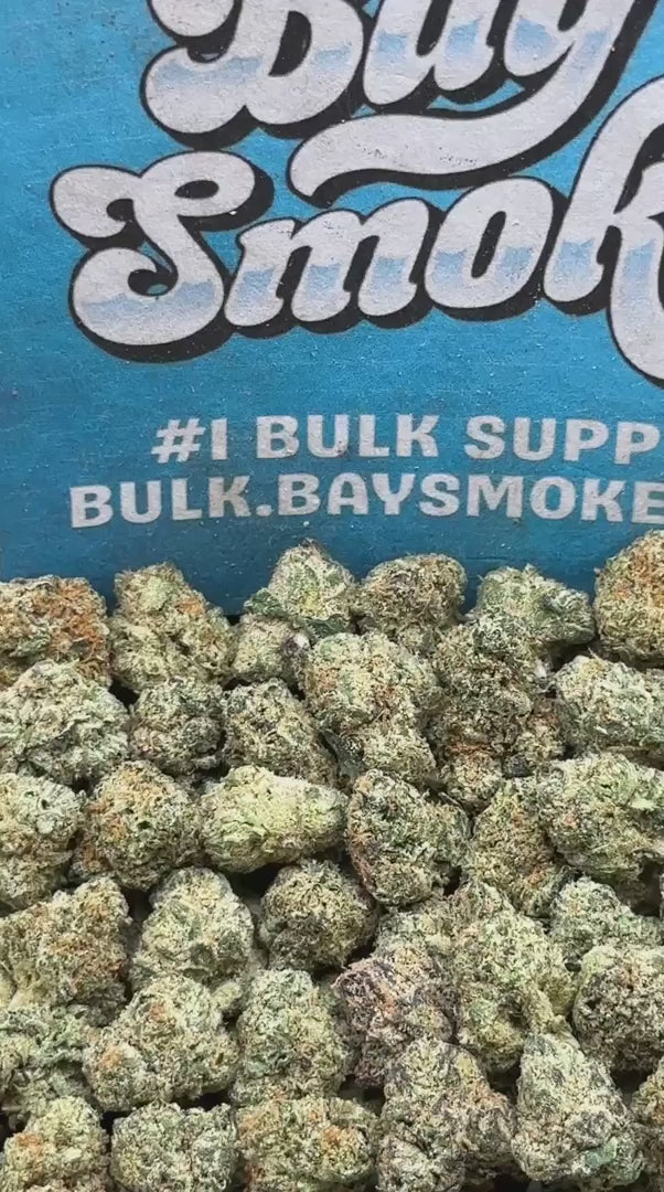 Jealousy SM (Indica Hybrid)