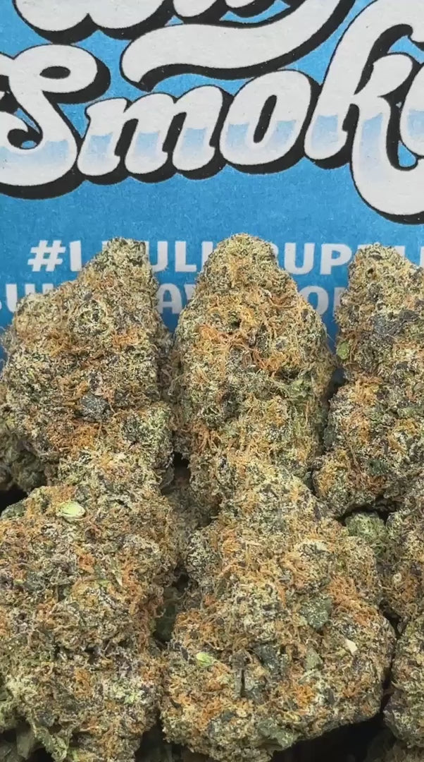 MAC-Watermelon Exotics Terp 🍉